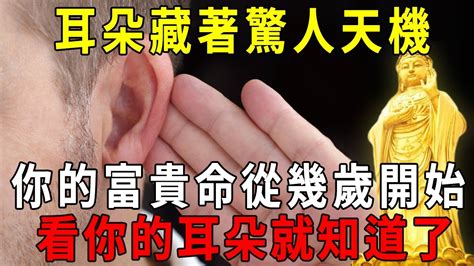 耳朵福相|【耳朵福相】從耳朵看富貴命！解析5種耳朵福相，助你一生享福。